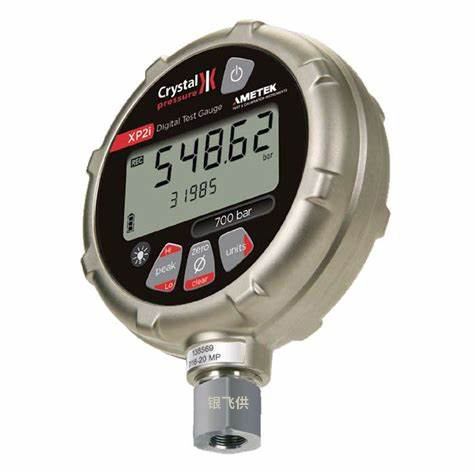 AMETEK XP2I-EOX數字免费看片APP网站